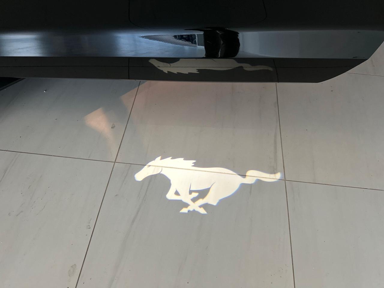 Ford Mustang ROUSH 5.0 V8 700 CV GT 2018