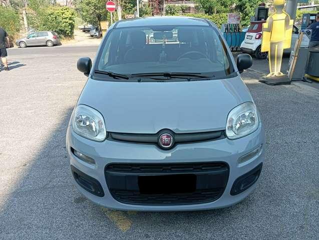 Fiat Panda Panda III 2016 1.0 hybrid Easy s