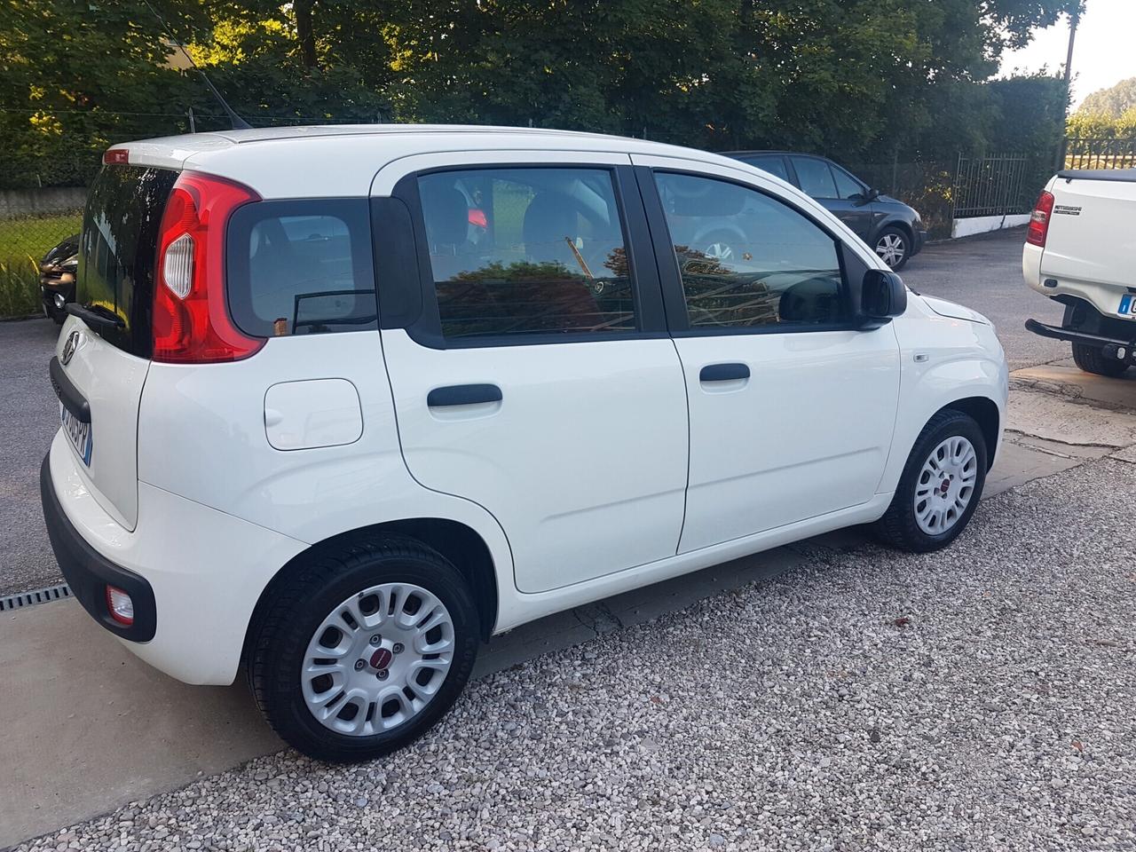 Fiat Panda 1.2 Easy neo patentati