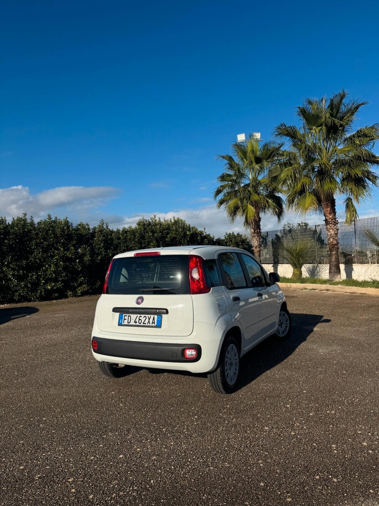 Fiat Panda 1.3 MJT 80 CV IMMATRICOLATA N1 - AUTOCARRO 5 POSTI