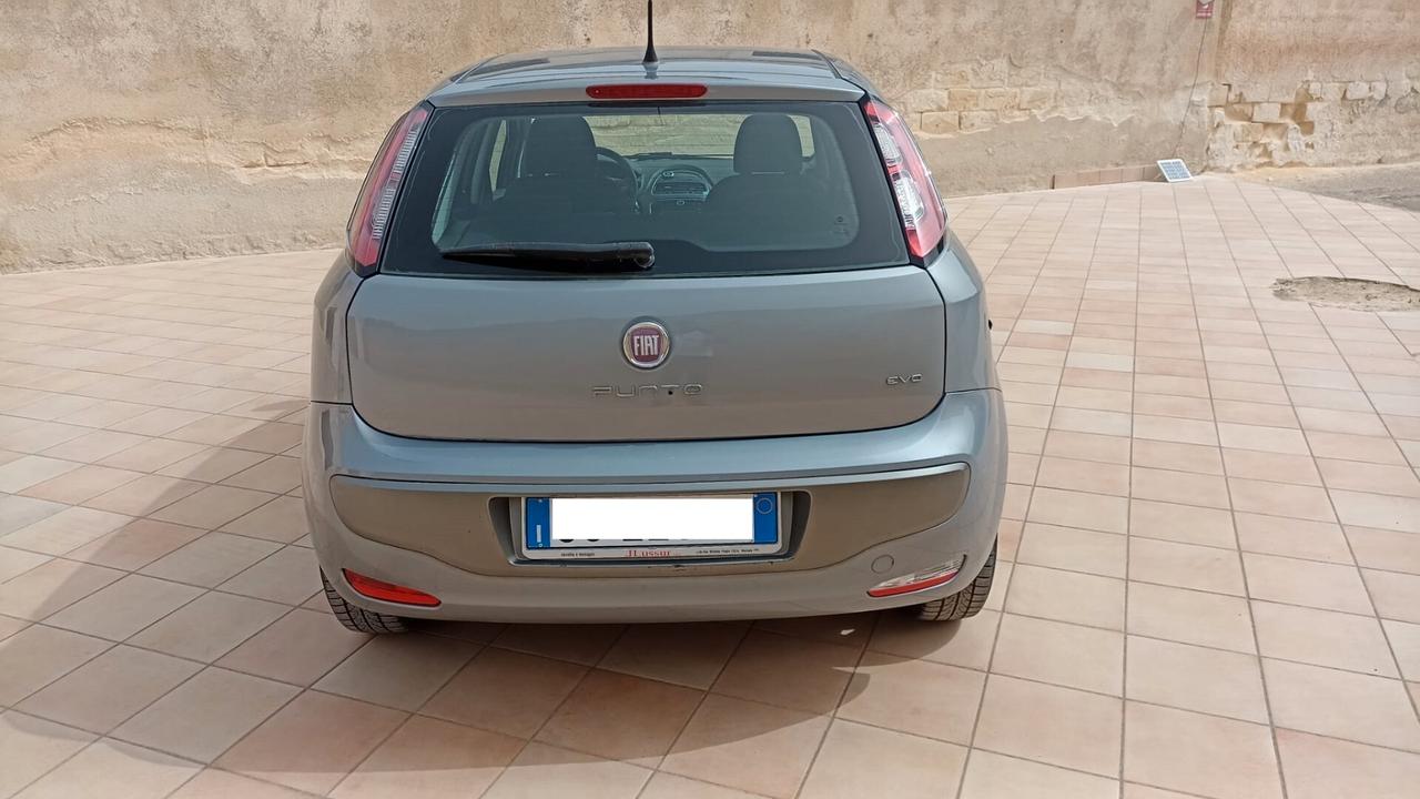 Fiat Punto Evo 1.3 - 5 porte Active anno 2011