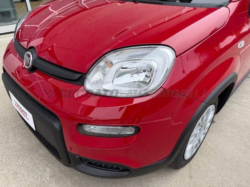 FIAT Panda 1.0 70cv Hybrid Panda