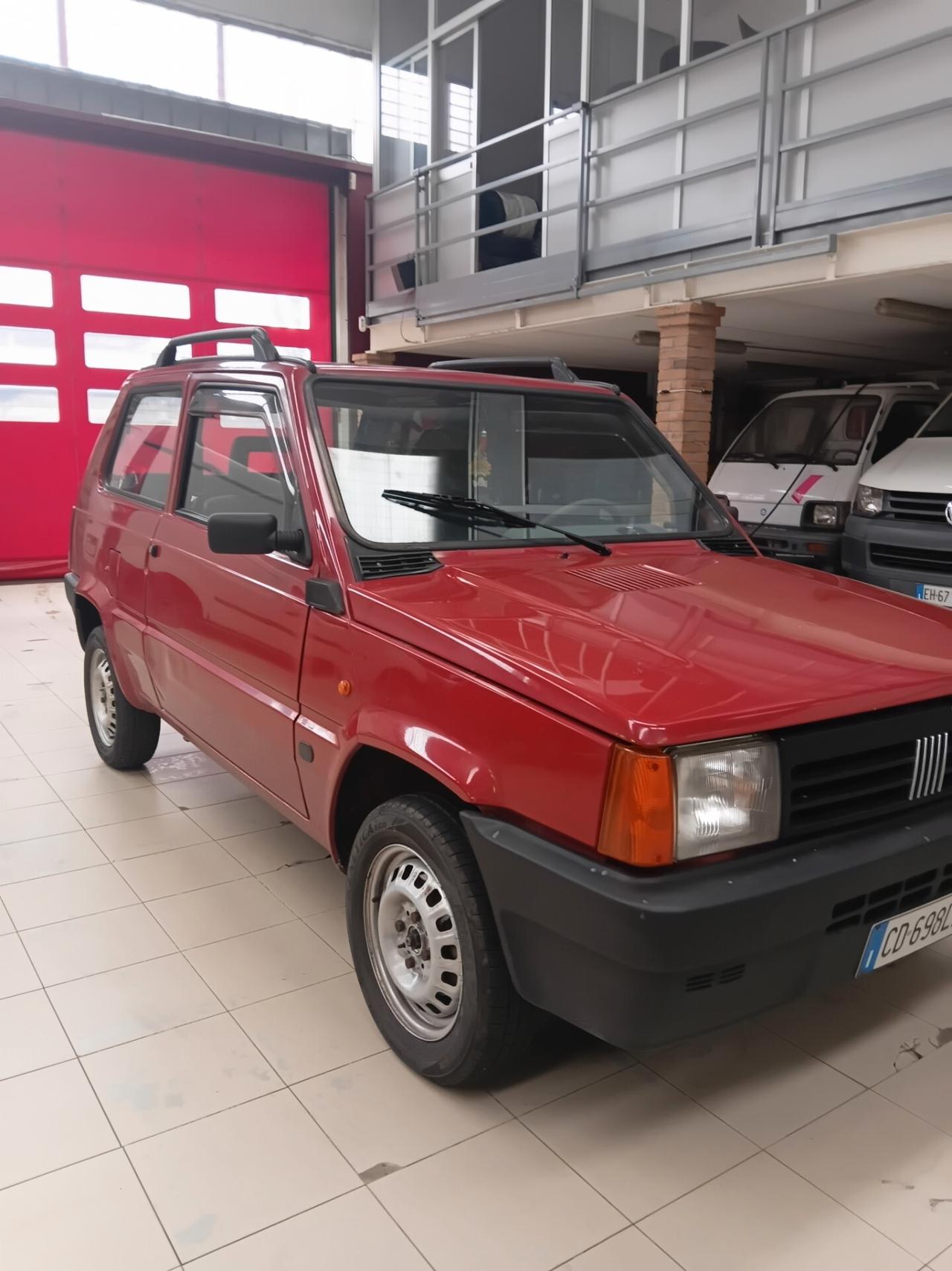 Fiat Panda 1100 i.e. cat Young
