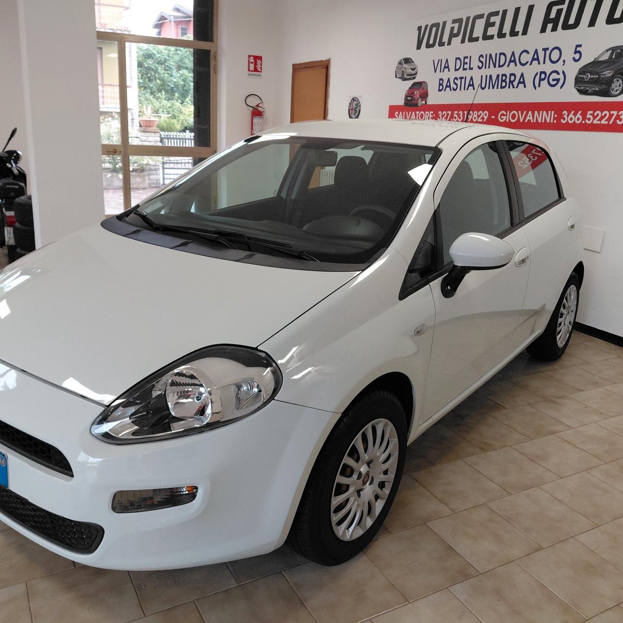 FIAT PUNTO ANNO 2014 BZ 1.2 ADATTA NEOPATENTATI KM 65 MILA