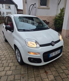Fiat Panda 1.2 69cv Benzina
