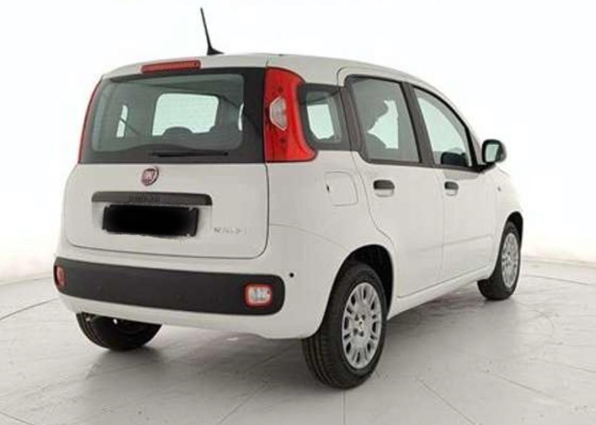 Fiat Panda 1.0 Fire Hybrid NOLEGGIO