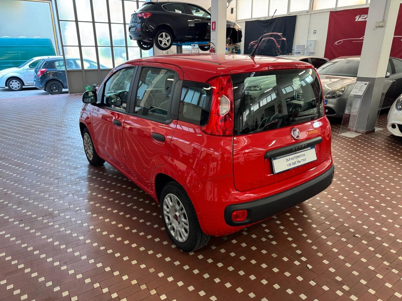 Fiat Panda 1.2 Lounge - UNICO PROPRIETARIO