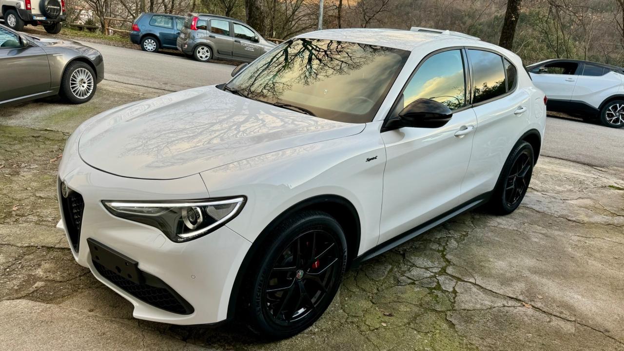 Alfa Romeo Stelvio 2.2 Turbodiesel 190 CV AT8 Q4 Sprint