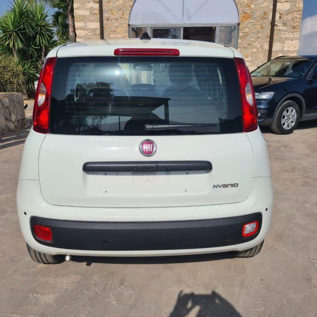 FIAT Pandina 1.0 FireFly 65 CV Hybrid Icon