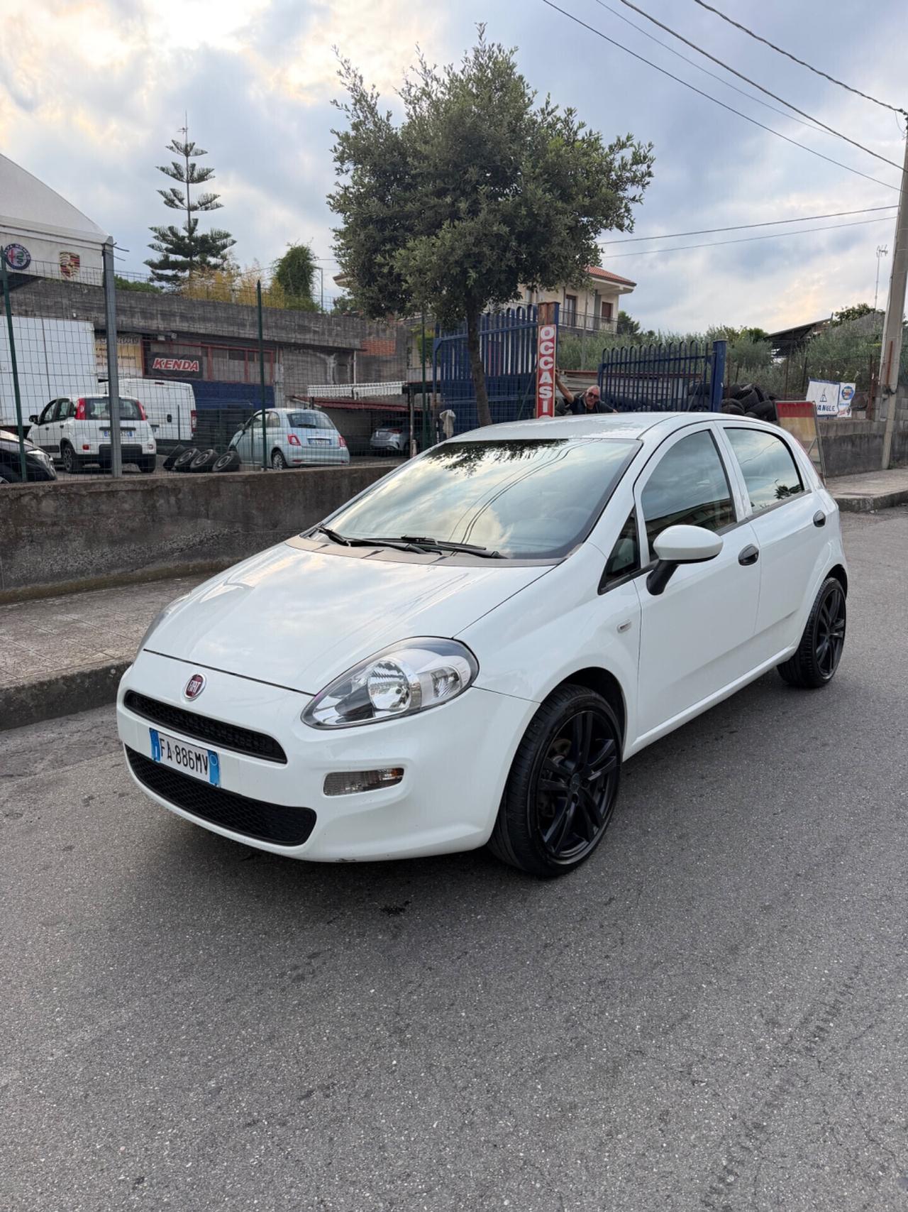 Fiat Punto 1.3 MJT II 75 CV 5 porte Street