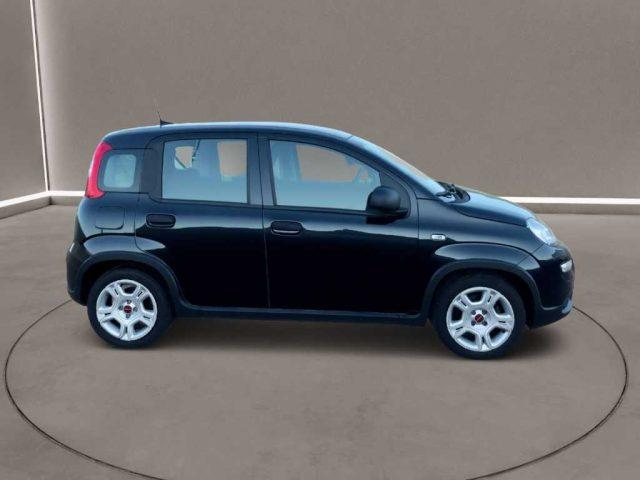 FIAT Panda 3ª serie - 1.0 FireFly S&S Hybrid