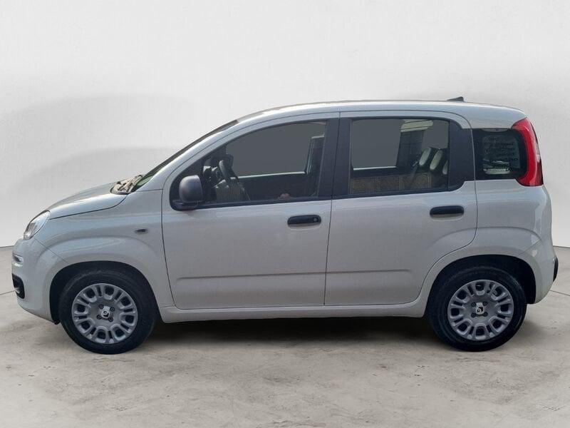 FIAT Panda NEW 1.0 70cv Hybrid Pop