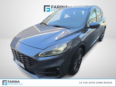FORD Kuga III 2020 - Kuga 2.5 full hybrid ST-Line X 2wd 190cv cvt