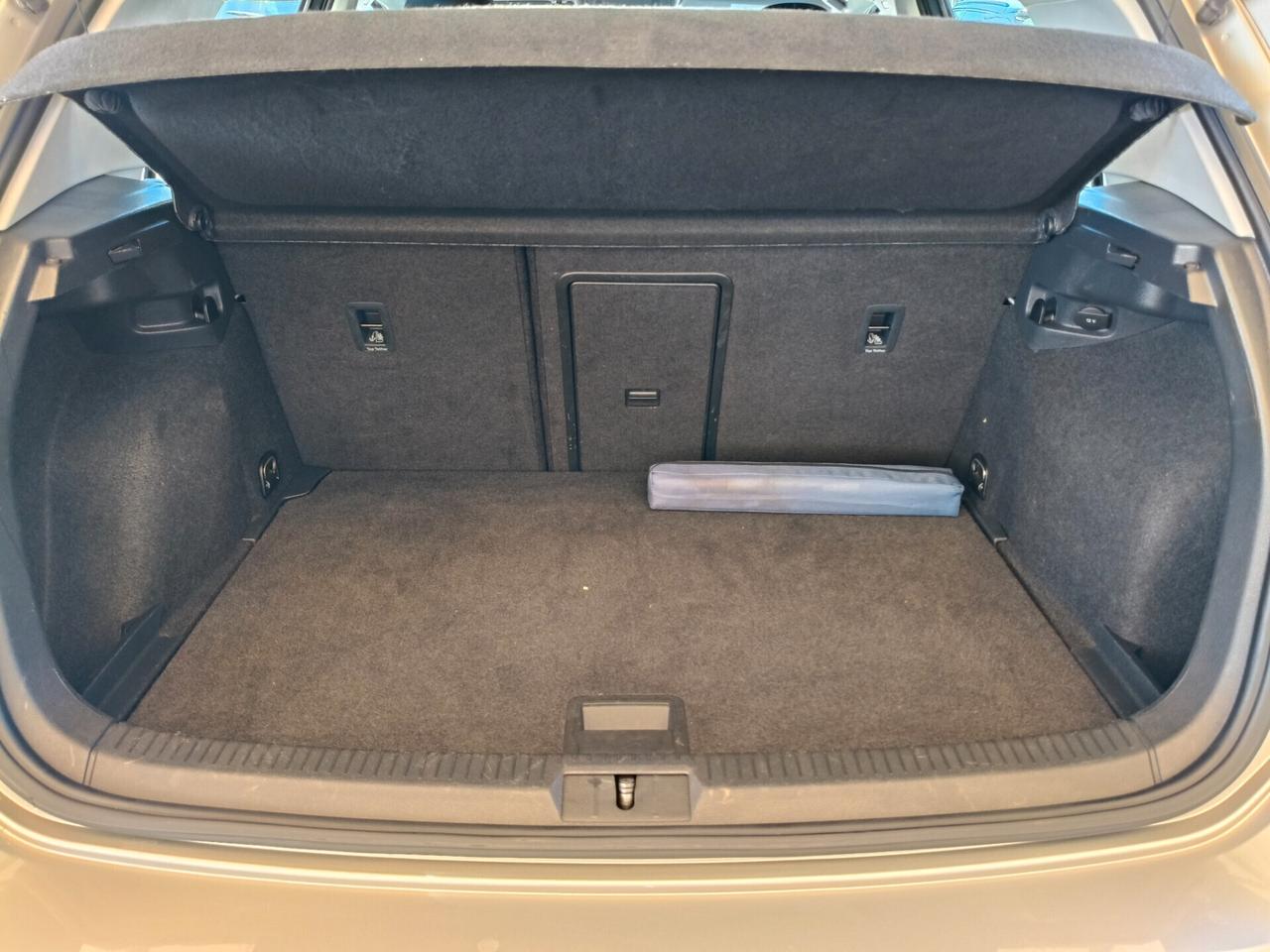 Volkswagen Golf 1.6 TDI 115 CV 5p. Executive BlueMotion Technology