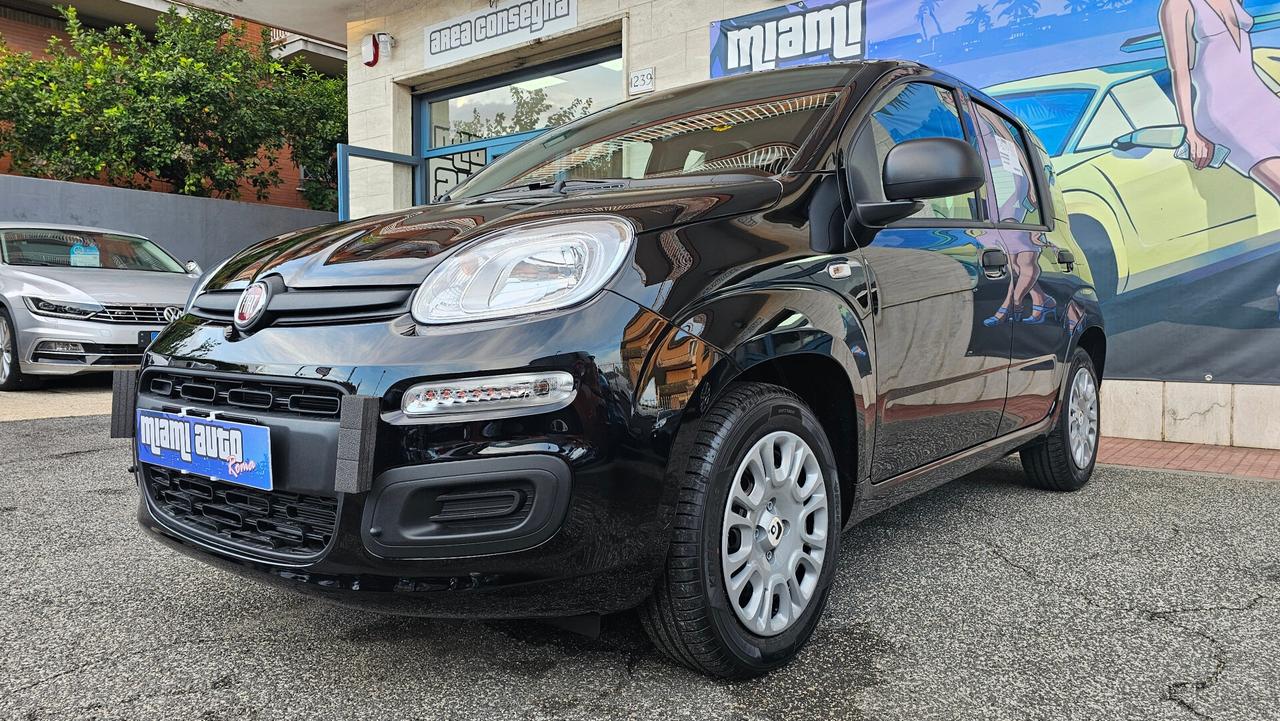 Fiat Panda 1.0 FireFly S&S Hybrid Pandina ICON KM0 REALE