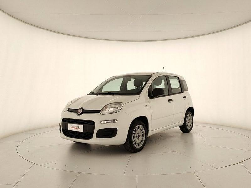 FIAT Panda 1.2 Easy easypower Gpl 69cv my19
