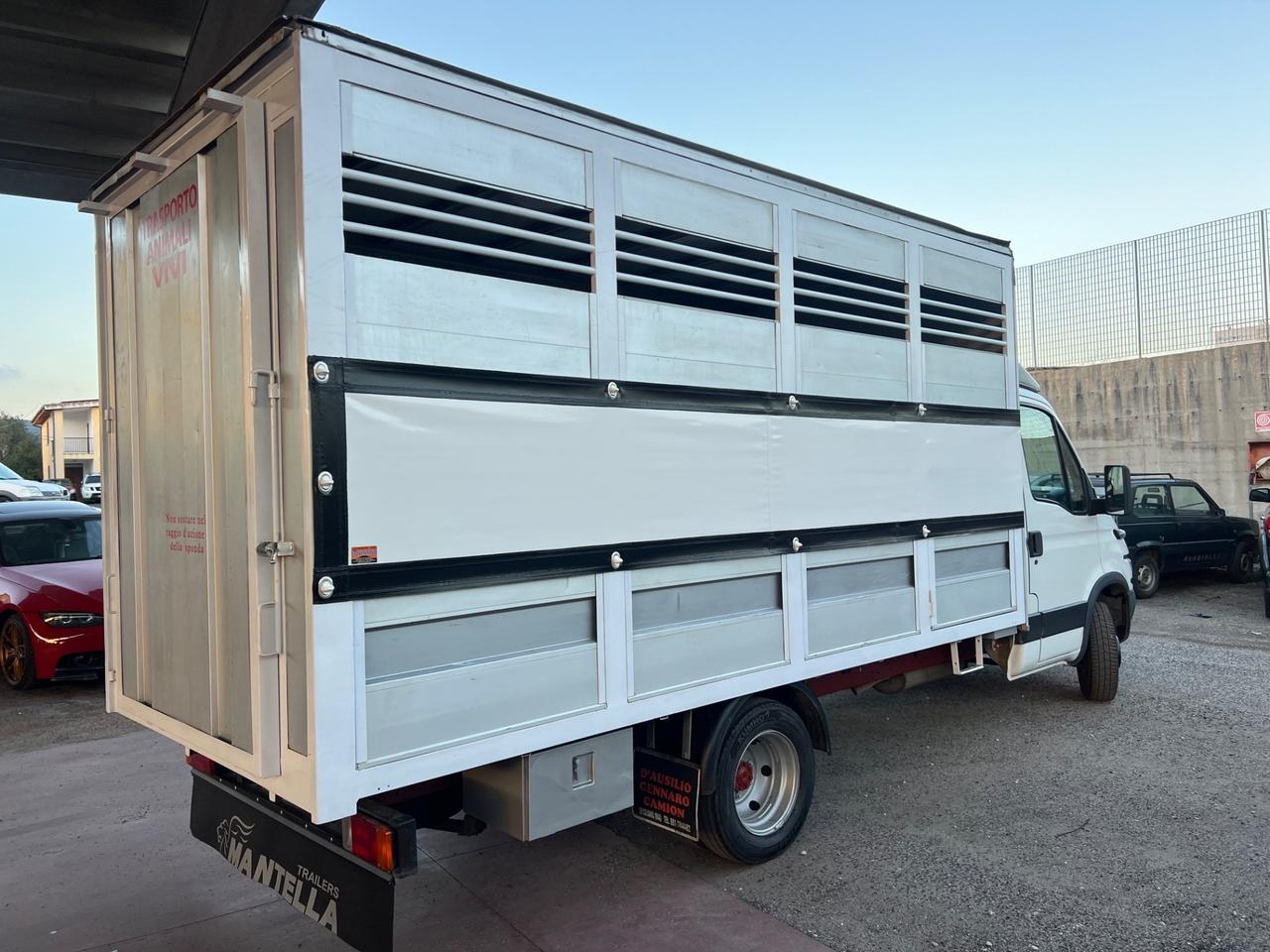 Iveco Daily 35c13 trasporto animali patente B