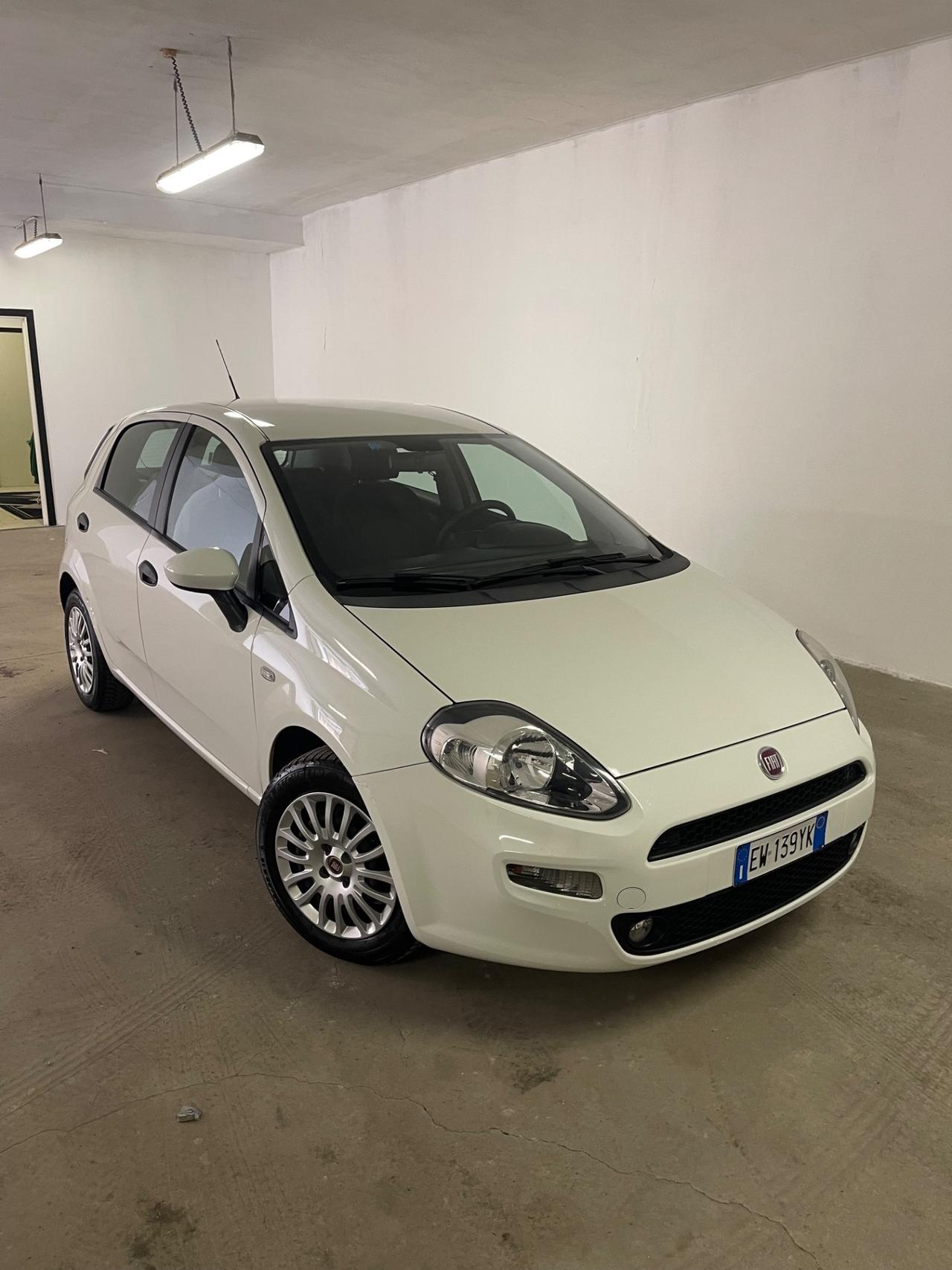 Fiat Punto 1.3 MJT II 75 CV 5 porte Street