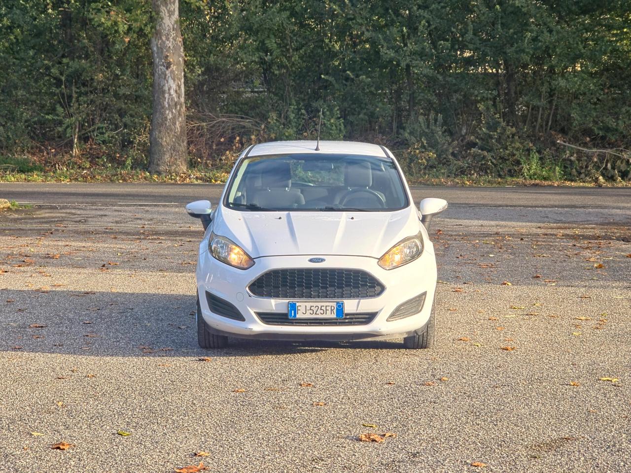 Ford Fiesta 1.5 TDCi 75CV 3 porte ST-Line E6B Manuale NEO 2017