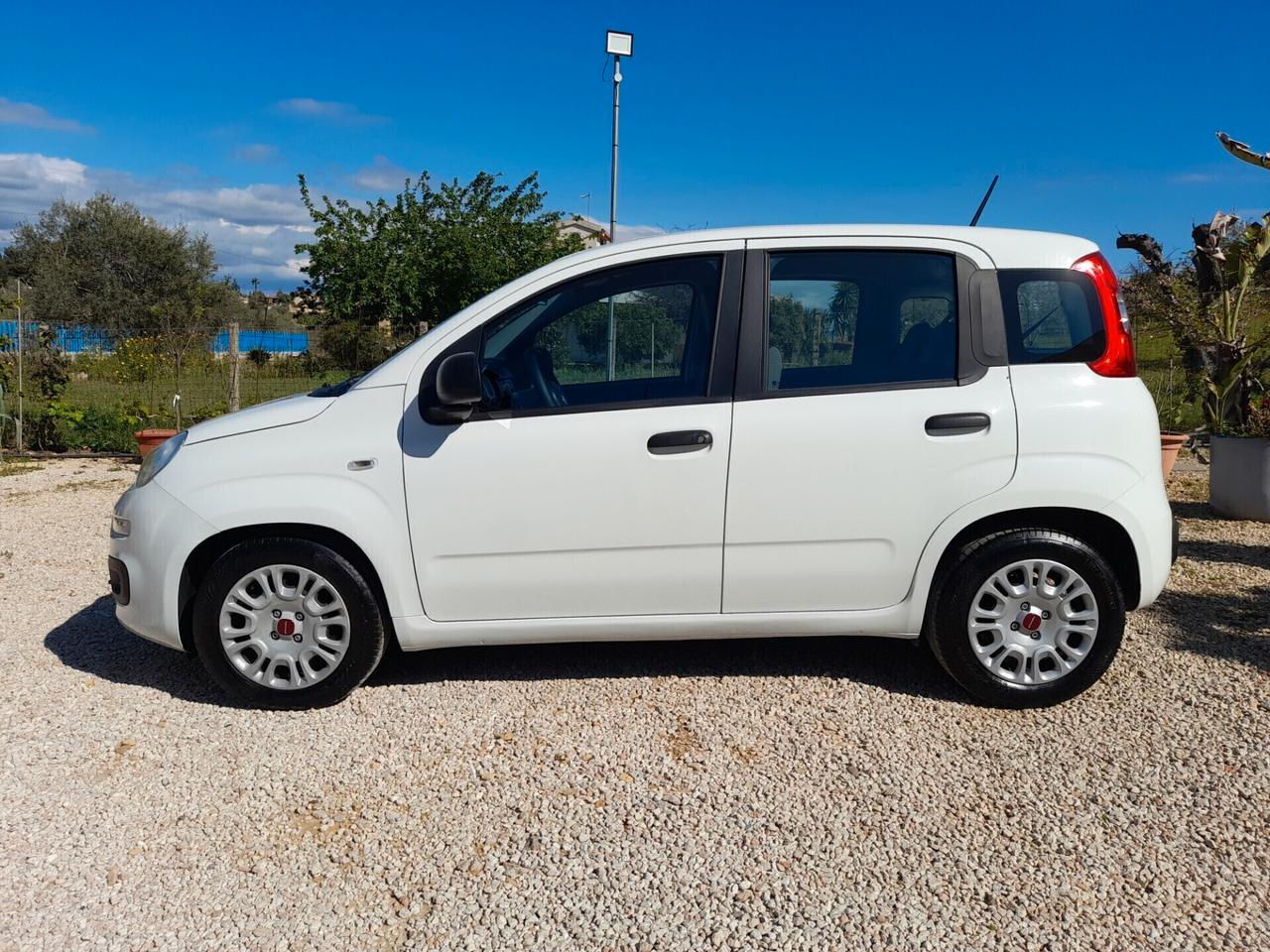 Fiat Panda 1.0FIREFLY S&S ANNO 2021 BENZINA