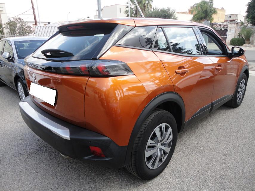 Peugeot 2008 1.5 bluehdi Active s&s 110cv