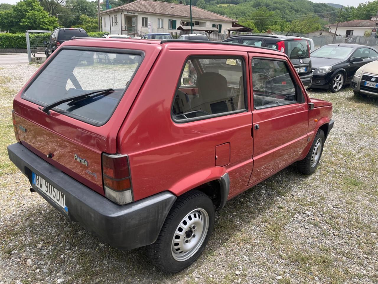 Fiat Panda 1100 i.e. cat Young