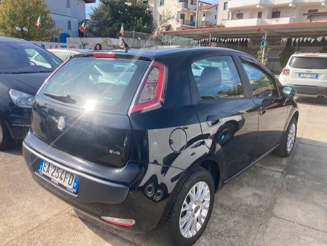 Fiat Punto Evo Punto Evo 1.4 5 porte Active GPL