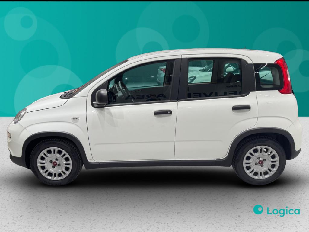 FIAT Panda III 2021 - Panda 1.0 firefly hybrid Sport s&s 70cv 5p.ti