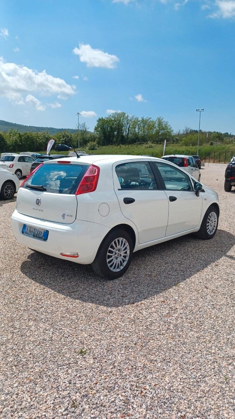 FIAT Punto 4ª serie Punto 1.2 8V 5 porte Street