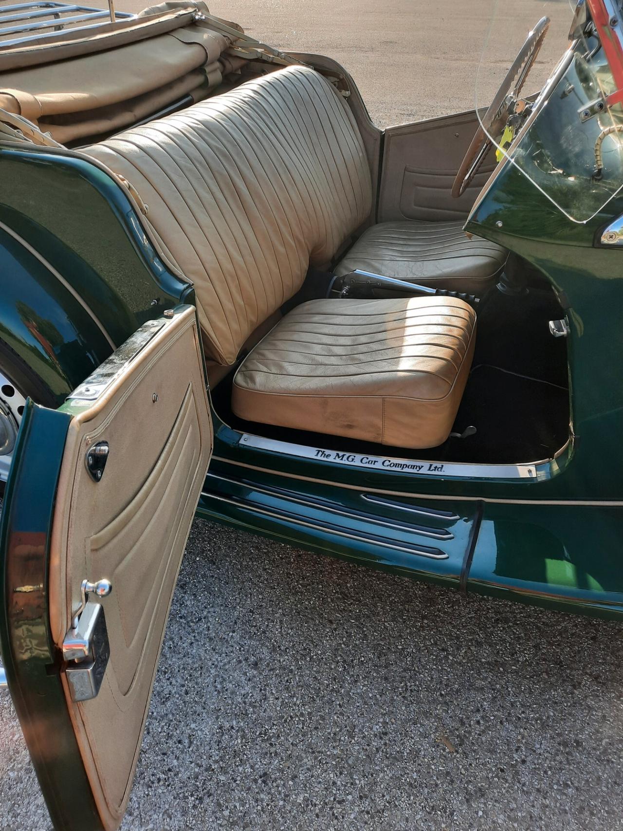Mg TD