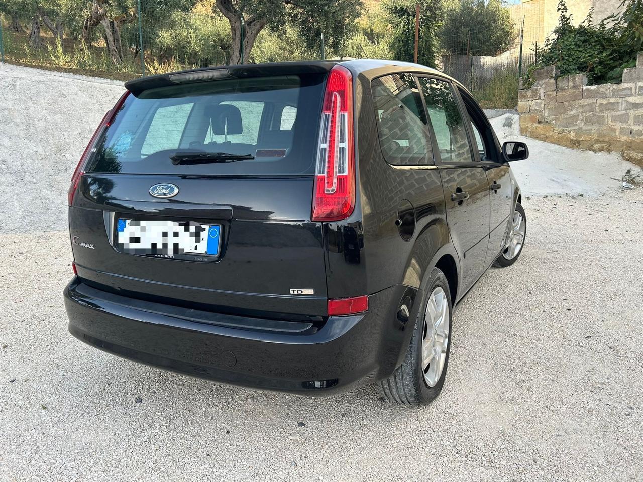 Ford C-Max 1.6 TDCi 110 CV Titanium DPF