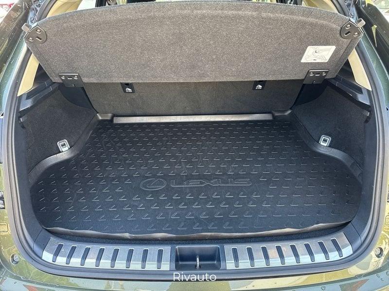 Lexus NX 300 h 2.5 Premium 4wd cvt