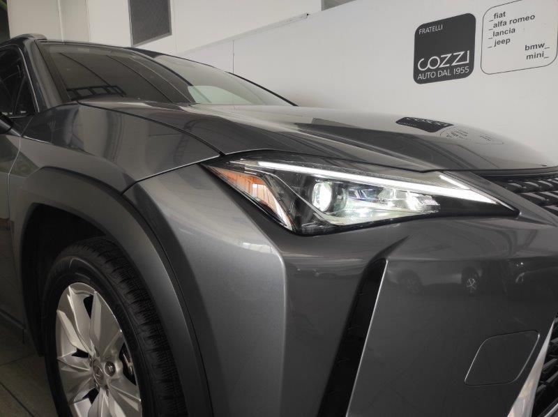 LEXUS UX - UX Hybrid Business
