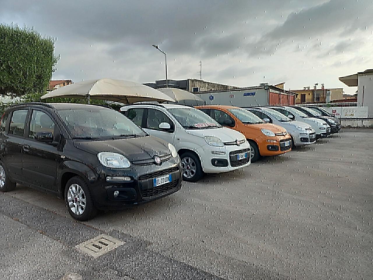 Fiat Panda 1.2 Easy