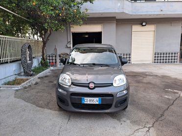 Fiat Panda 1.2 Easy PARI ALL NUOVO