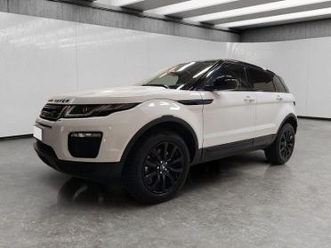 Land Rover Range Rover Evoque 5p 2.0 td4 SE Business edition 150cv auto my19