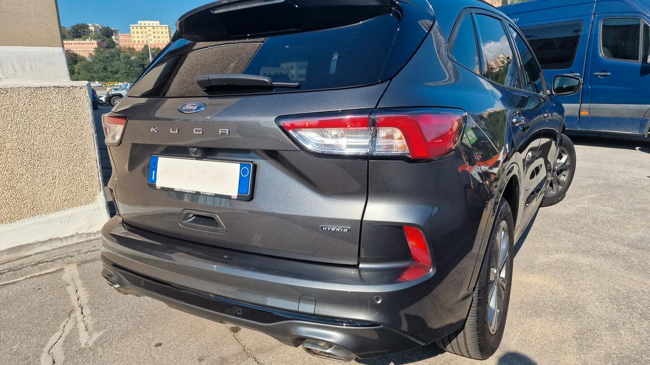 Ford Kuga 2.5 Plug In Hybrid 225 CV CVT 2WD ST-Line