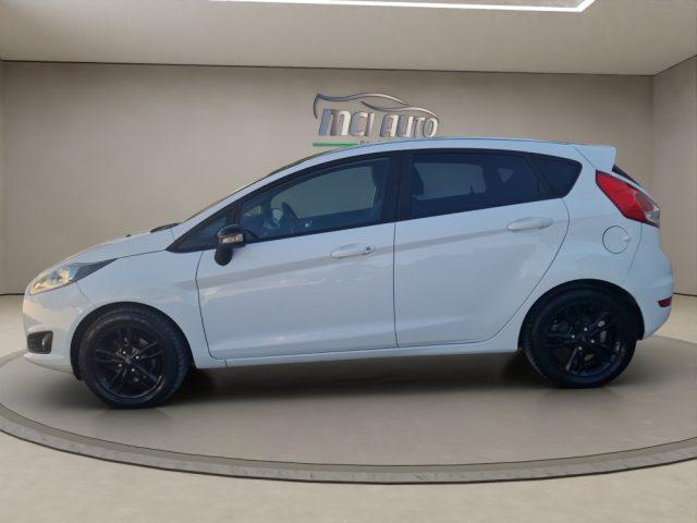 FORD Fiesta 1.5 TDCi 75CV 5 porte Business