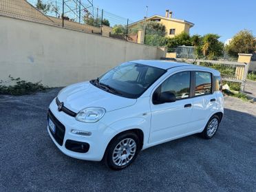 Fiat Panda 1.2 EasyPower Pandazzurri