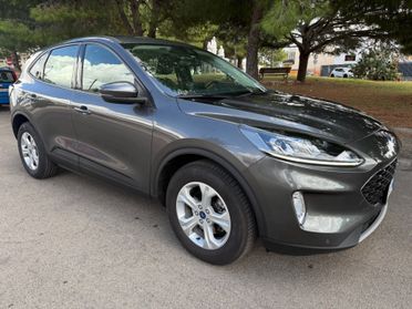 Ford Kuga 1.5 EcoBlue 120 CV aut. 2WD Titanium Business