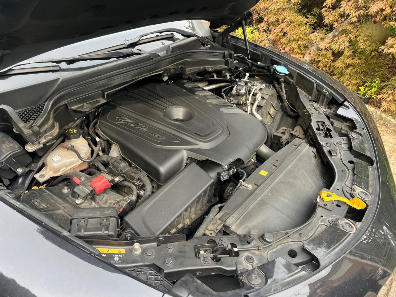 Alfa Romeo Stelvio 2.2 Turbodiesel 160 CV AT8 RWD Business