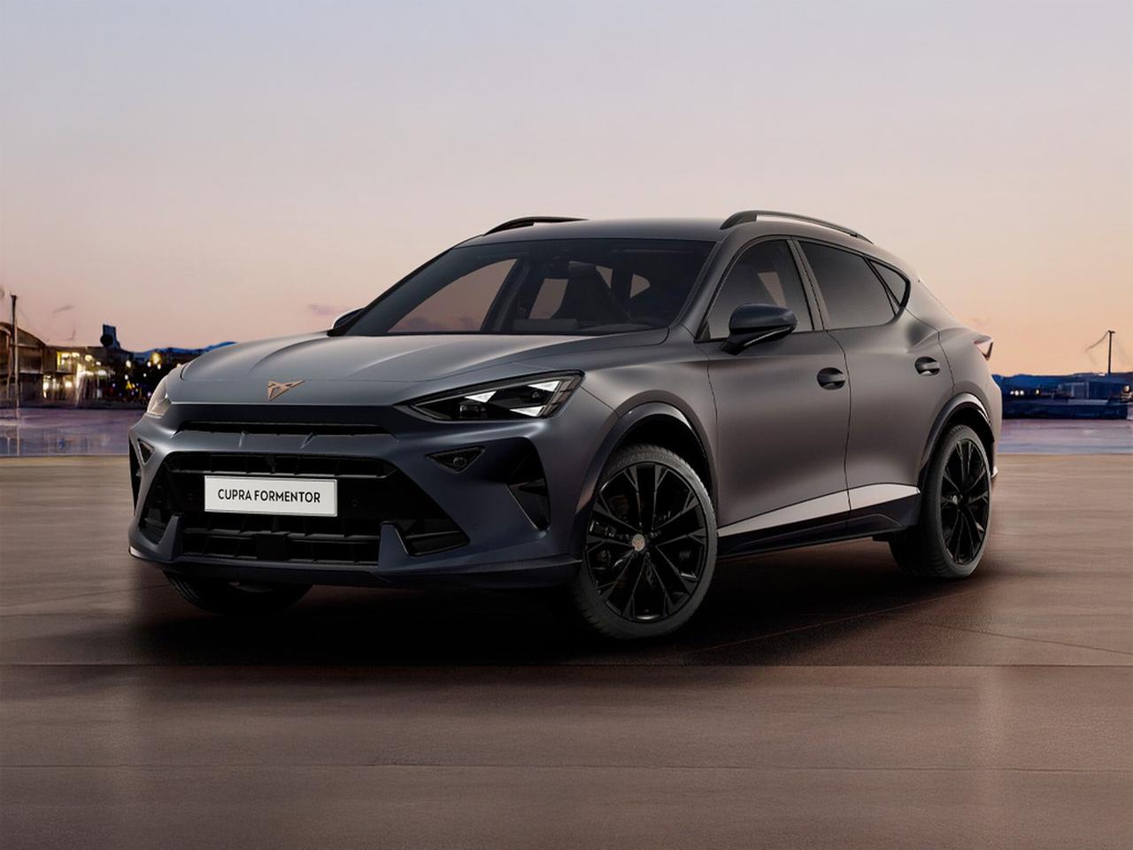 Cupra Formentor 2.0 tdi dark stone 150cv dsg