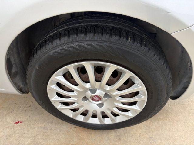 FIAT Punto 1.2 8V 5 porte Street POCHI CHILOMETRI EURO 6