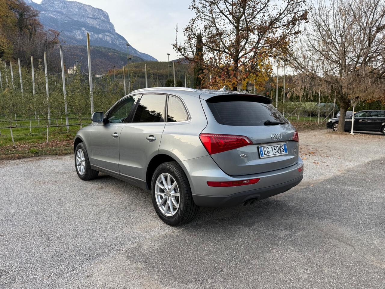 Audi Q5 2.0 TDI 170CV quattro Advanced Plus
