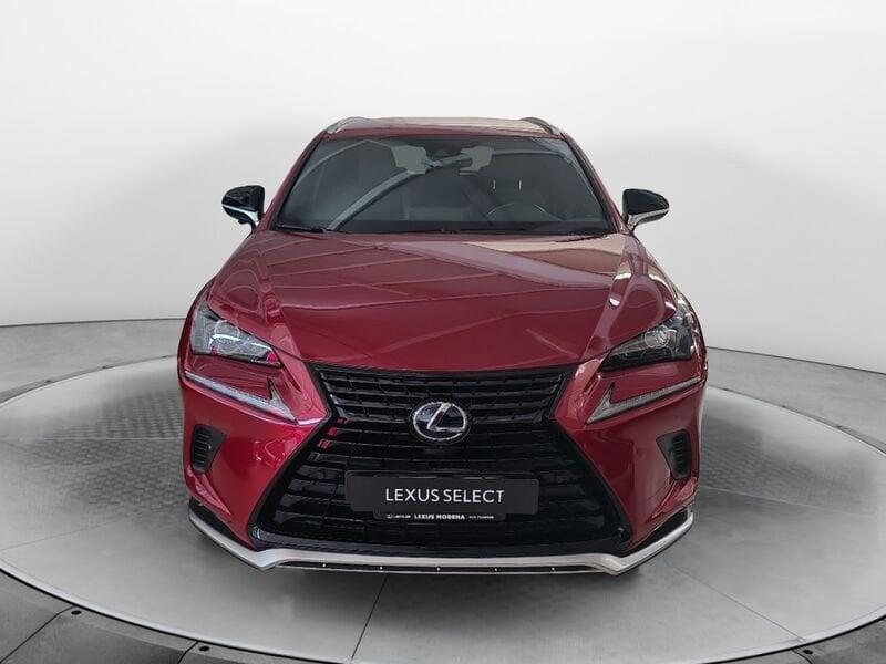 Lexus NX Hybrid 4WD Premium