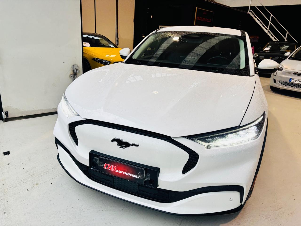 Ford Mustang Mach-E Elettrico Extended 294CV