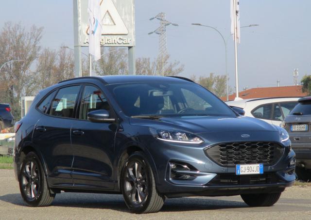 FORD Kuga 1.5 EcoBlue 120 CV aut. 2WD ST-Line