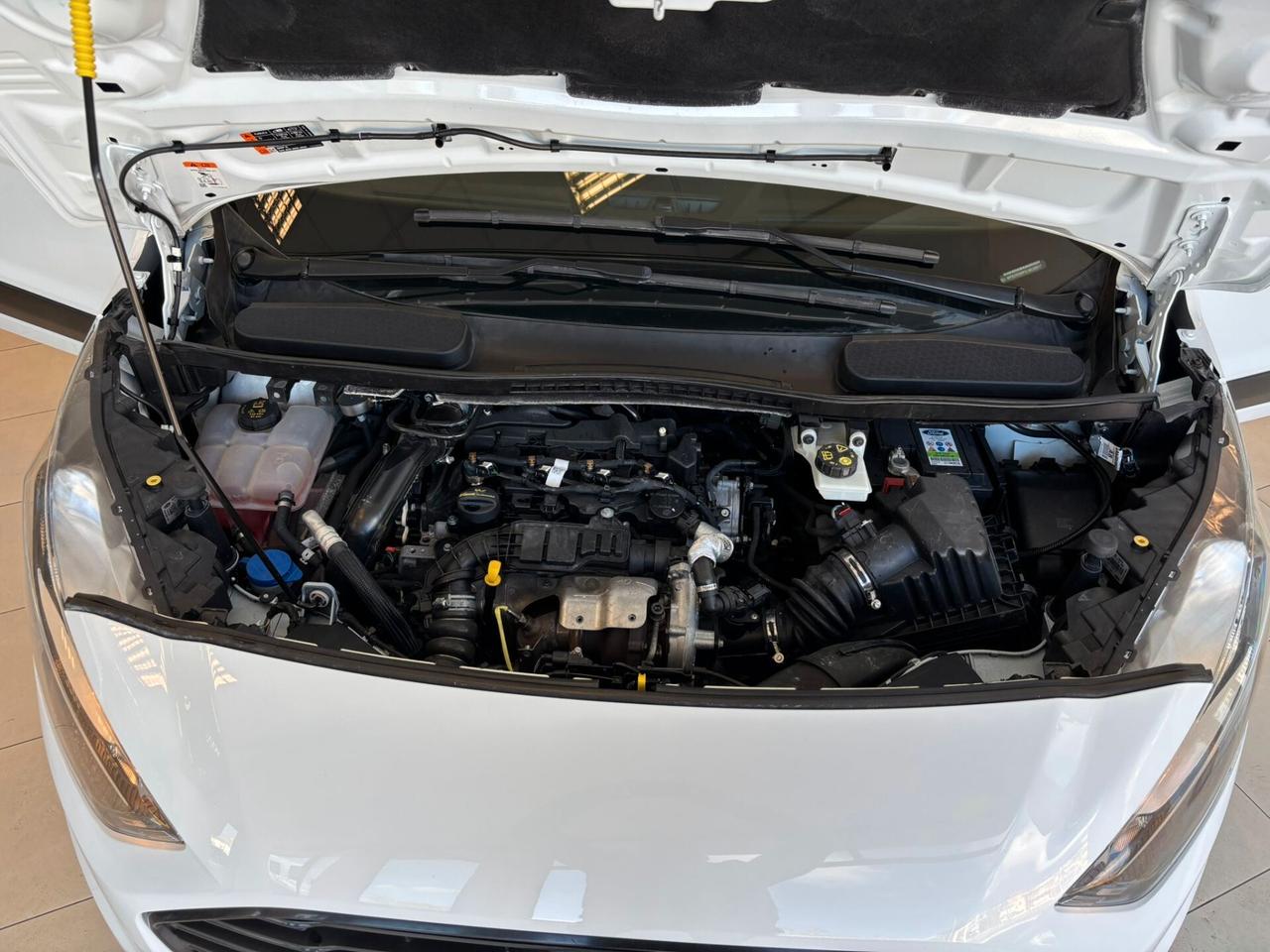 FORD TRANSIT CONNECT TRASPORTO DISABILI 7 POSTI PIANO RIBASSATO