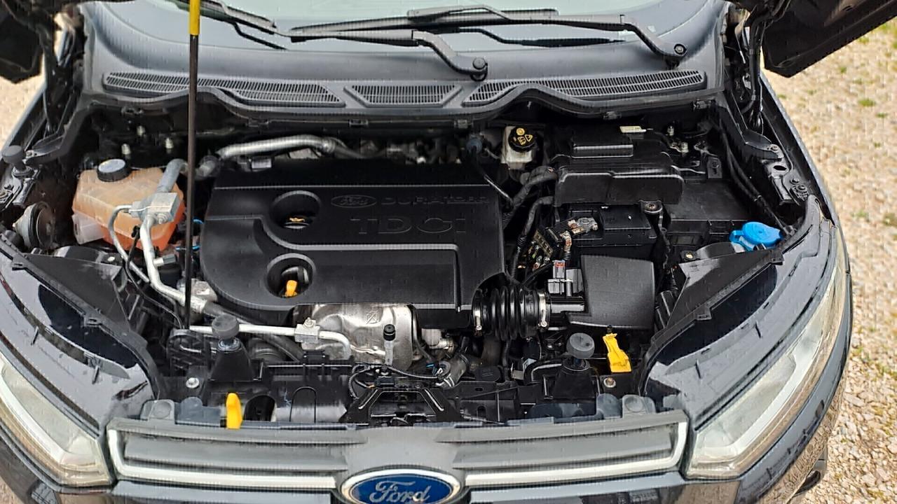Ford EcoSport 1.5 TDCi 90 CV Plus