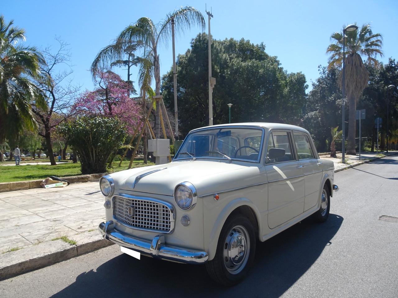 Fiat 1100 Special